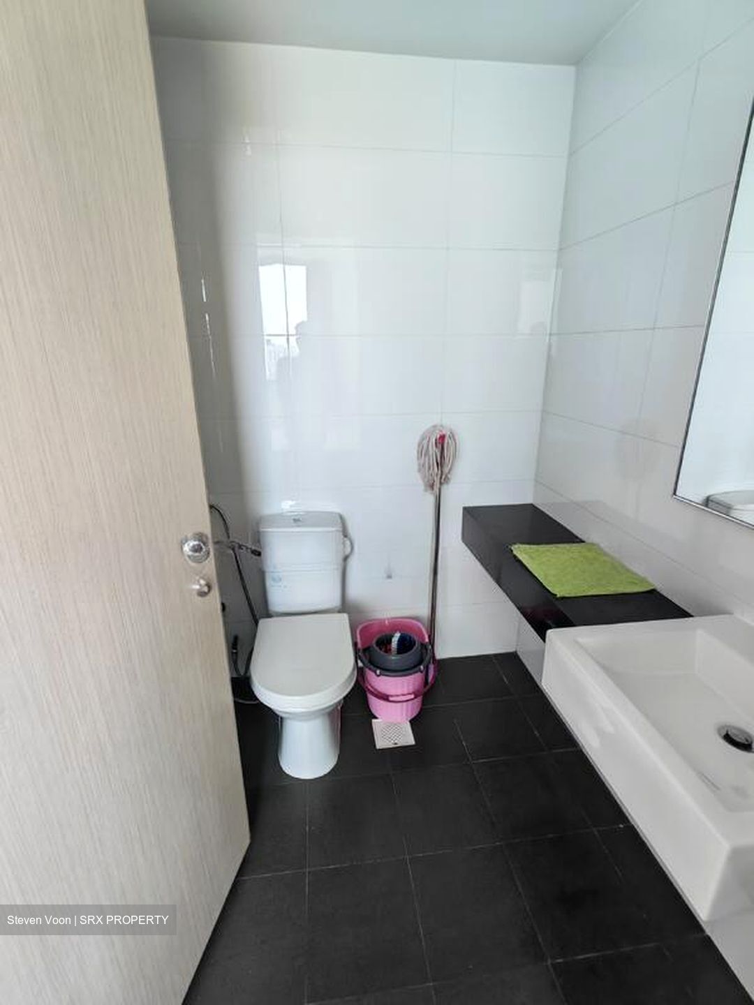 Opal Suites (D12), Apartment #495881631